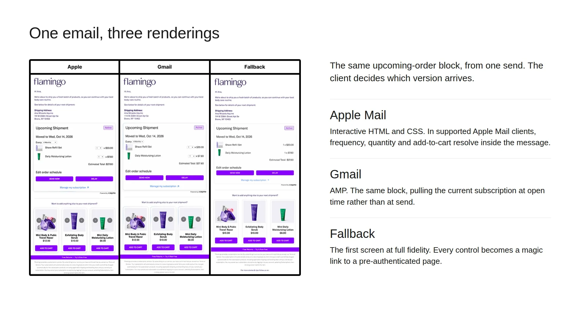 The same upcoming-order subscription email rendered three ways: Apple Mail with interactive HTML and CSS, Gmail with AMP, and the magic-link fallback.