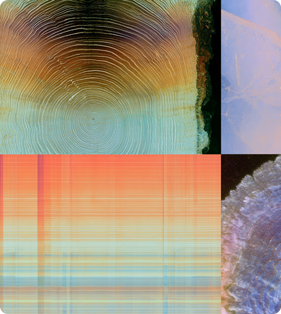 Four-panel collage of tree rings, pale mineral and banded gradients in neon pastels